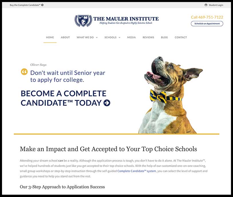 The Mauler Institute Website - example of minimal design