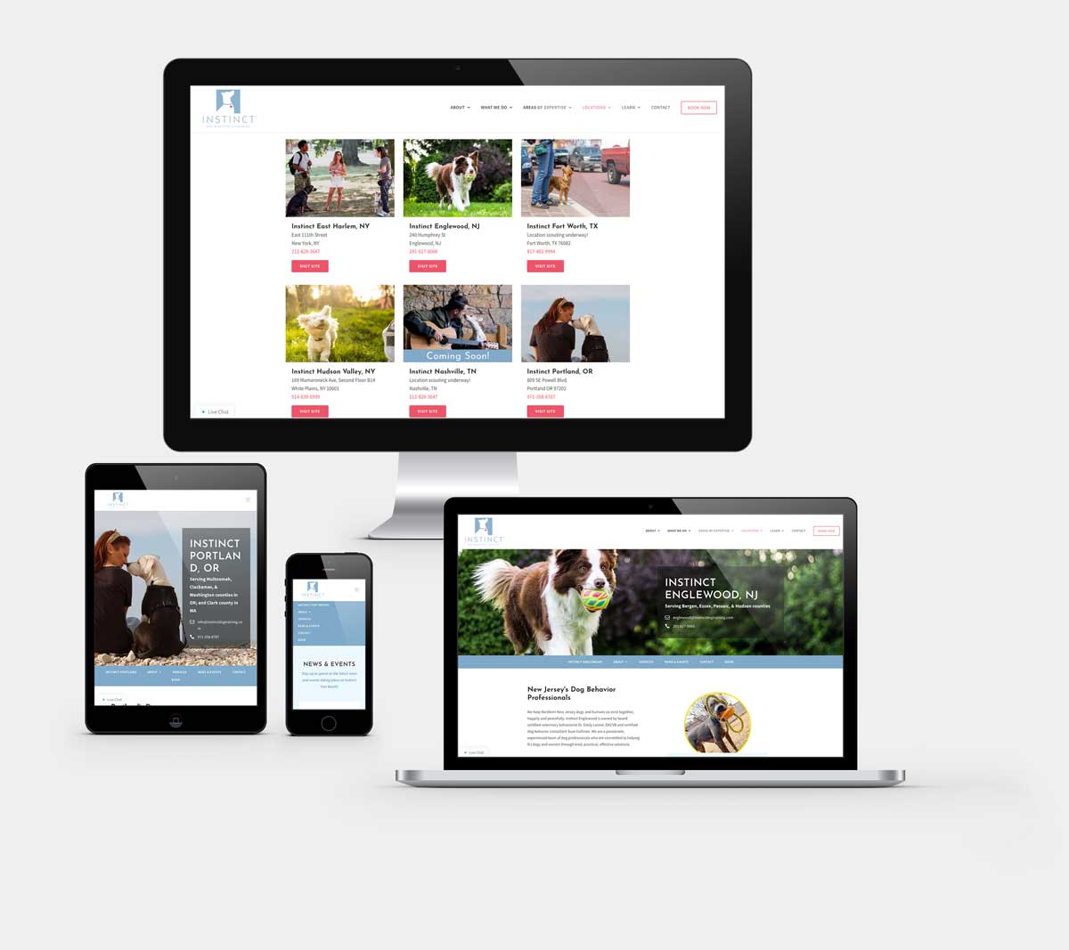 Puppy Fran Responsive