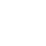 Portfolio Icon - Globe and map pin