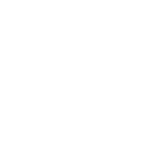 Portfolio Icon - magnifying glass