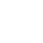 Portfolio Icon - briefcase